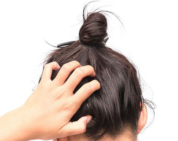 养肾补气血是增强发质的中医的好方法