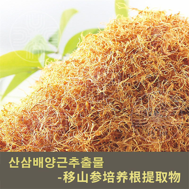 移山参培养根提取物