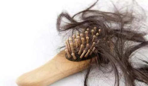 告别夏日头发油腻感，俪真8大养护攻略让毛发蓬松自然